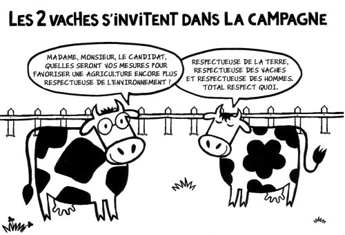 Carte postale publicitaire Les 2 Vaches (Danone, 2007), recto