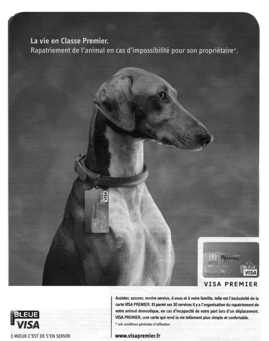 ChienVisa